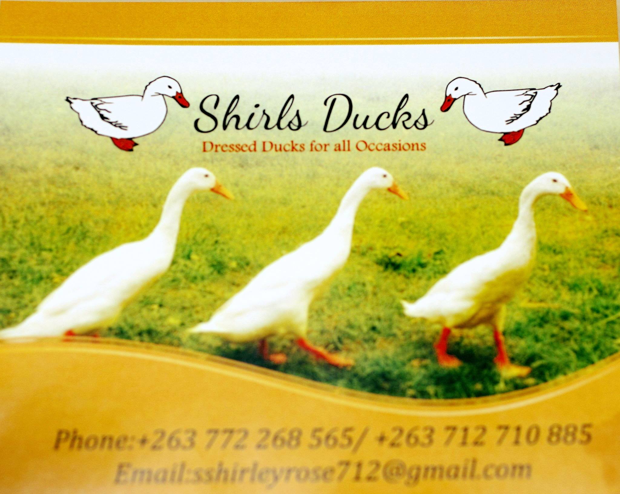 shirl's ducks
